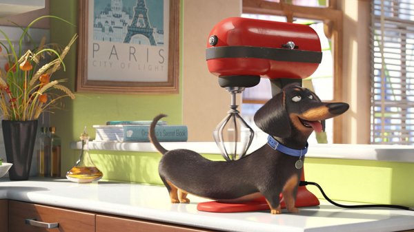 The Secret Life of Pets Movie Photo 233380