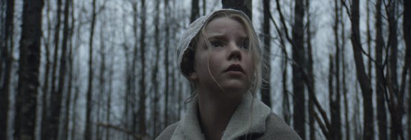 The Witch Movie Photo 233687