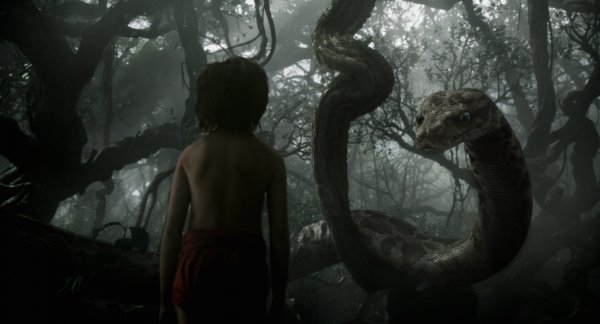 The Jungle Book Movie Photo 255818