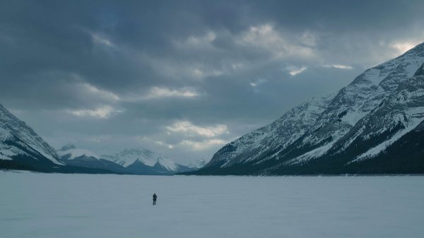 The Revenant Movie Photo 279256