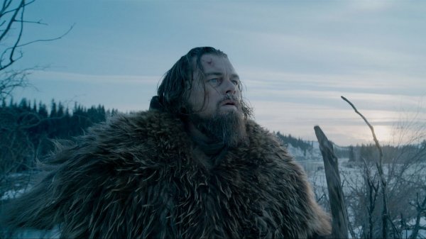 The Revenant Movie Photo 279259