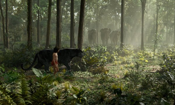 The Jungle Book Movie Photo 286548