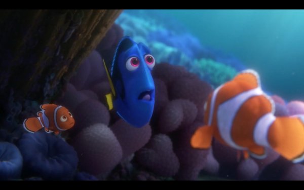 Finding Dory Movie Photo 311967