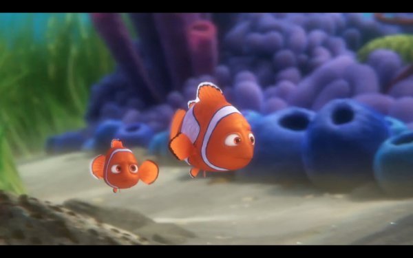 Finding Dory Movie Photo 311969