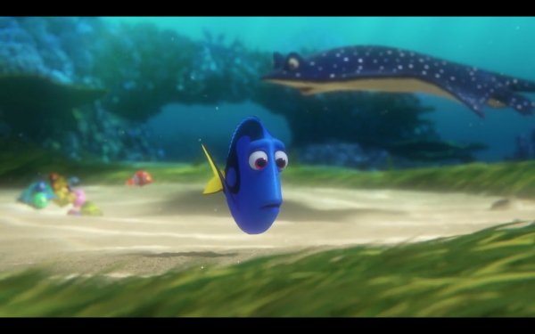 Finding Dory Movie Photo 311970