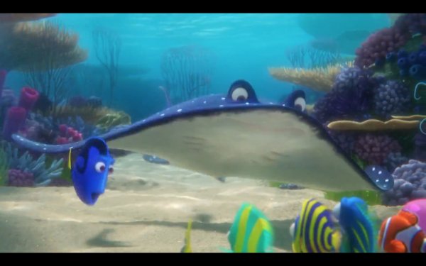 Finding Dory Movie Photo 311971