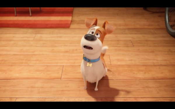 The Secret Life of Pets Movie Photo 313223