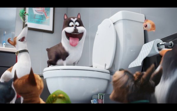 The Secret Life of Pets Movie Photo 313225