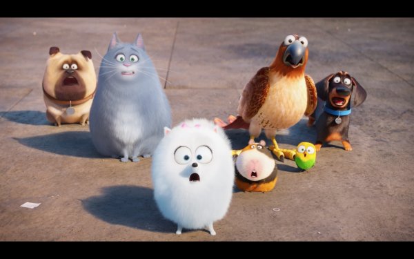 The Secret Life of Pets Movie Photo 313226