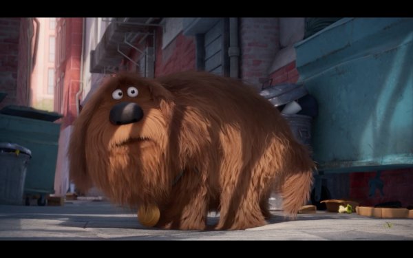 The Secret Life of Pets Movie Photo 313228