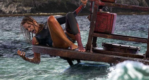 The Shallows Movie Photo 315329