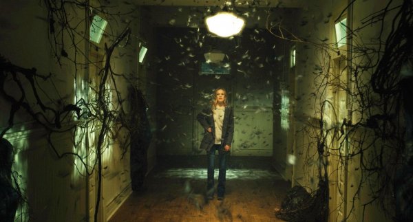 Before I Wake Movie Photo 319818