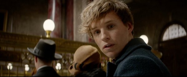 Fantastic Beasts and Where to Find Them Movie Photo 322274