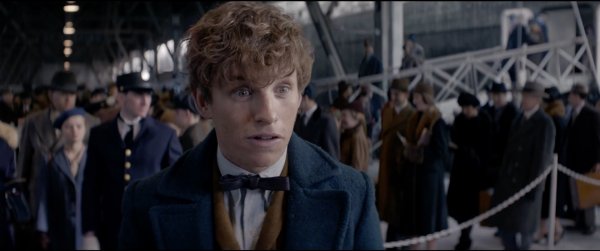 Fantastic Beasts and Where to Find Them Movie Photo 322275