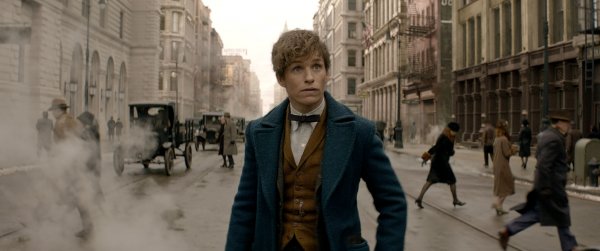 Fantastic Beasts and Where to Find Them Movie Photo 322280