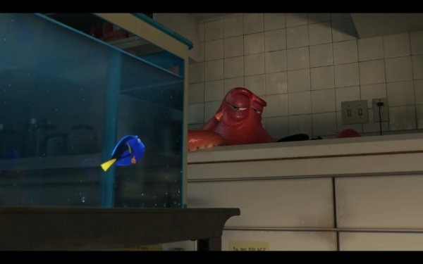 Finding Dory Movie Photo 342895