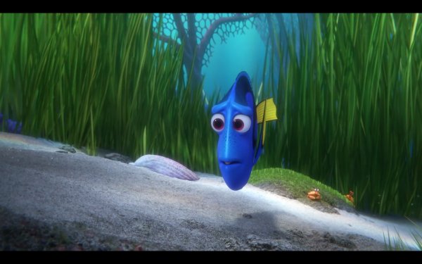 Finding Dory Movie Photo 342896