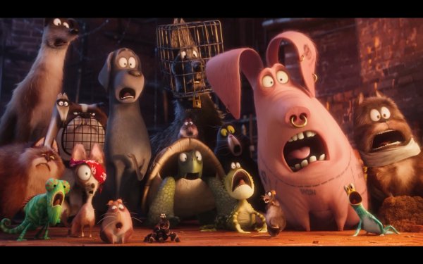 The Secret Life of Pets Movie Photo 351369