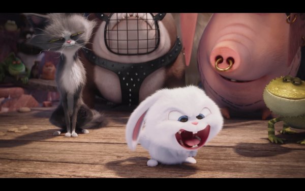 The Secret Life of Pets Movie Photo 351370