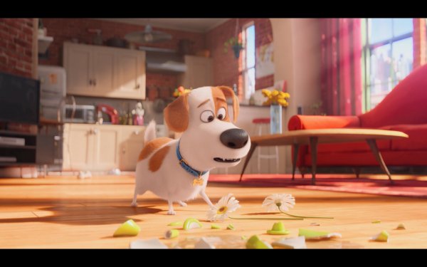 The Secret Life of Pets Movie Photo 351371