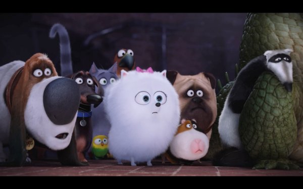 The Secret Life of Pets Movie Photo 351372