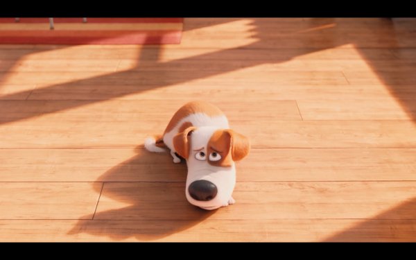 The Secret Life of Pets Movie Photo 351373