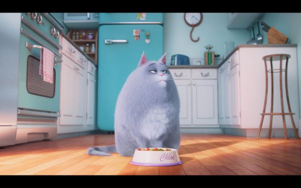 The Secret Life of Pets Movie Photo 351374