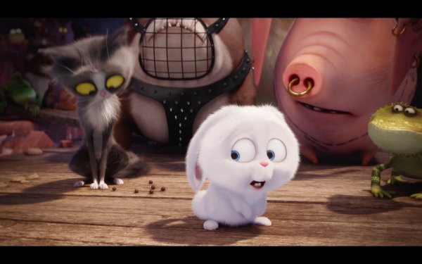 The Secret Life of Pets Movie Photo 351375