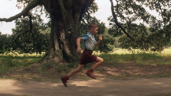 Forrest Gump Movie Photo 36015