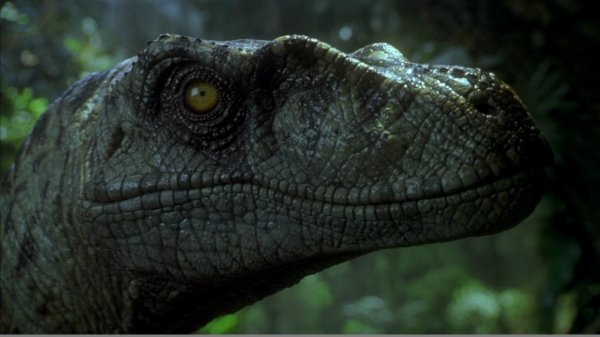 Lost World: Jurassic Park Movie Photo 36082