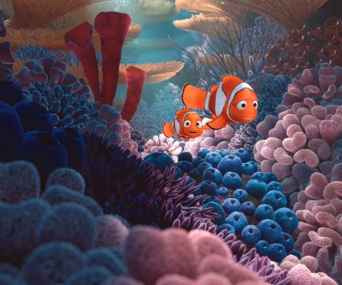 Finding Nemo 3D Movie Photo 36182