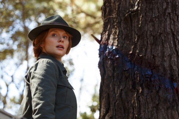 Pete's Dragon Movie Photo 365172