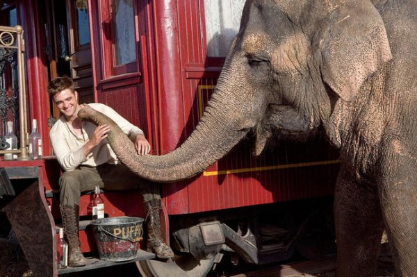 Water for Elephants Movie Photo 38080