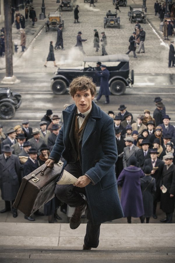 Fantastic Beasts and Where to Find Them Movie Photo 383899