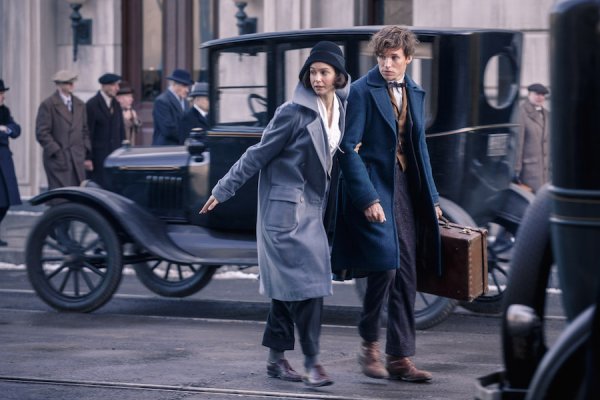 Fantastic Beasts and Where to Find Them Movie Photo 383900