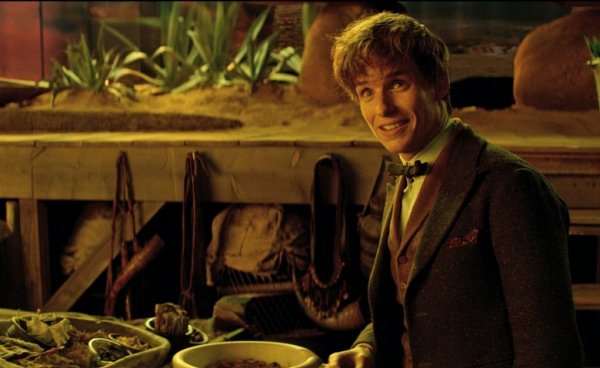 Fantastic Beasts and Where to Find Them Movie Photo 383904