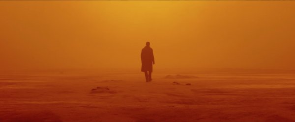 Blade Runner 2049 Movie Photo 401839