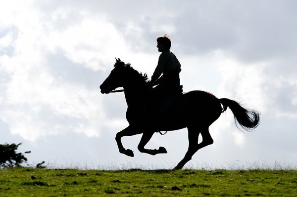 War Horse Movie Photo 41840