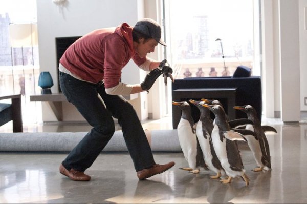 Mr. Popper's Penguins Movie Photo 42772