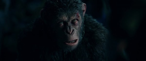 War for the Planet of the Apes Movie Photo 432047