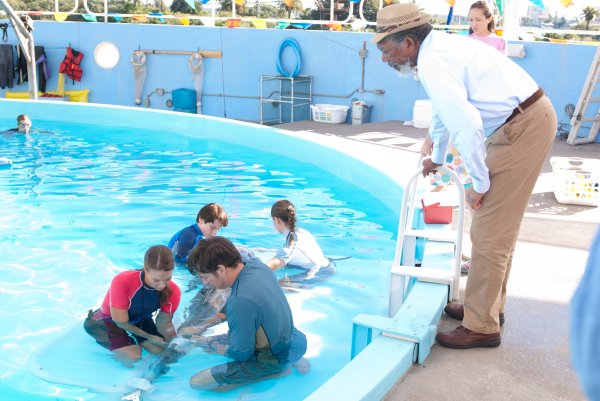 Dolphin Tale Movie Photo 44283