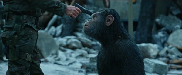 War for the Planet of the Apes Movie Photo 445957