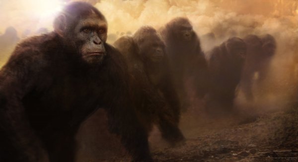 Rise of the Planet of the Apes Movie Photo 45341