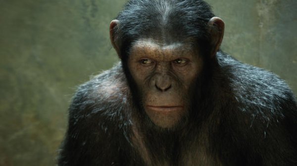 Rise of the Planet of the Apes Movie Photo 45576