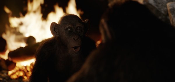 War for the Planet of the Apes Movie Photo 456117