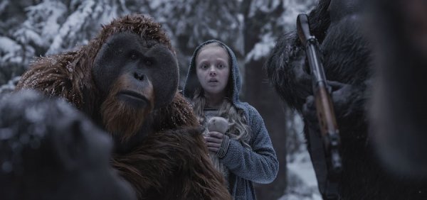 War for the Planet of the Apes Movie Photo 456118