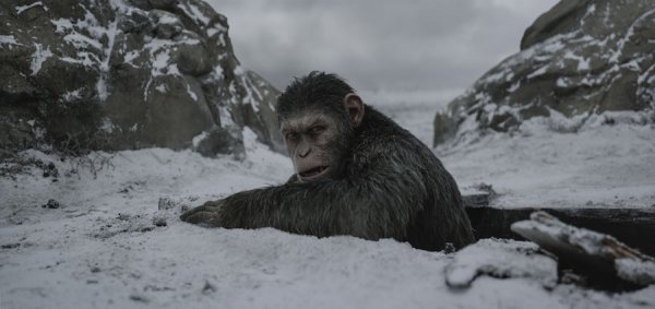 War for the Planet of the Apes Movie Photo 456119