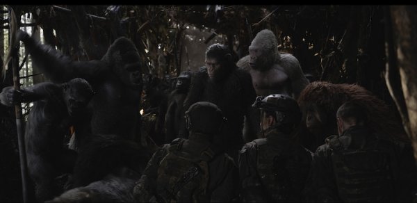 War for the Planet of the Apes Movie Photo 456120