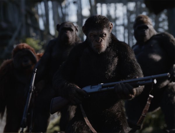 War for the Planet of the Apes Movie Photo 456121