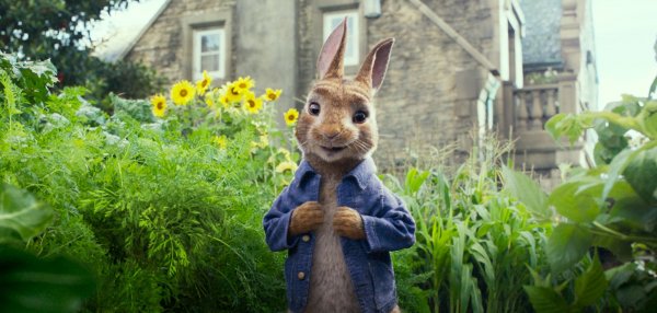 Peter Rabbit Movie Photo 485455